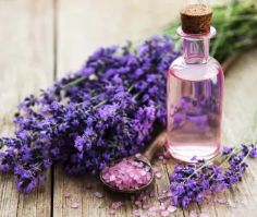 Manfaat Minyak Esensial Lavender untuk Kesehatan dan Kecantikan